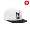 6 PANEL CAP